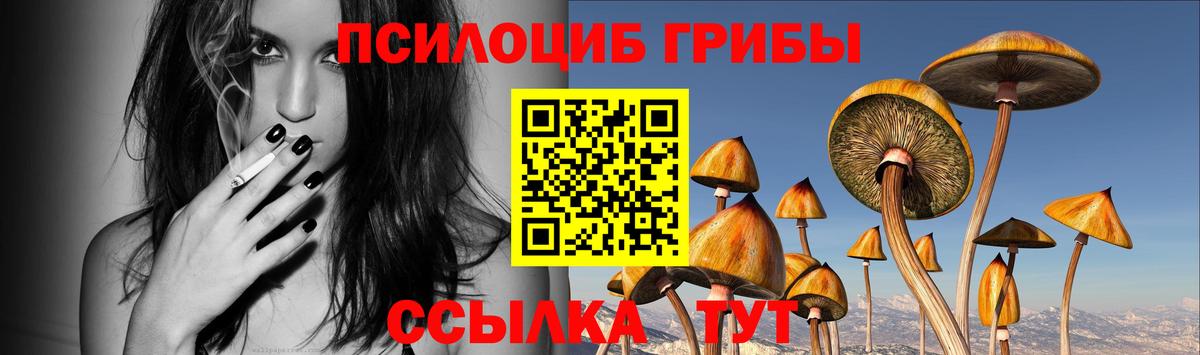 как найти наркотики  Вход с VPN  Галлюциногенные грибы GOLDEN TEACHER  Новошахтинск  Псилоцибиновые грибы Cubensis 